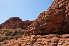 King's Canyon