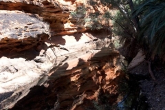 King's Canyon