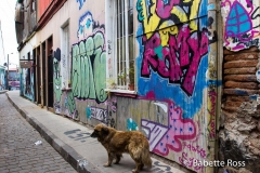 Valparaiso Street Art