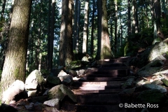 Grouse Grind Trail