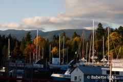 Stanley Park