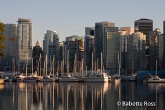 Stanley Park