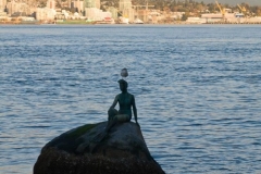 Stanley Park