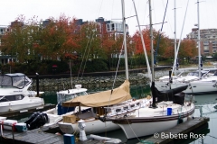 Granville Island