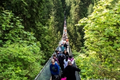 Capilano