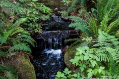 Capilano
