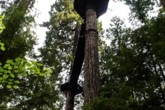 Capilano