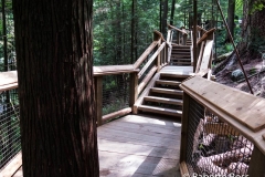 Capilano