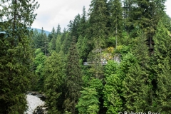 Capilano