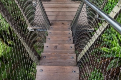 Capilano