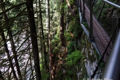 Capilano