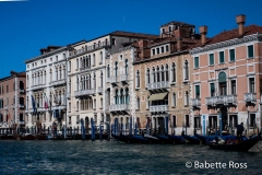 Palazzo Contarini Fasan & Palazzo Venier Contarini