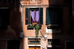 Window Box