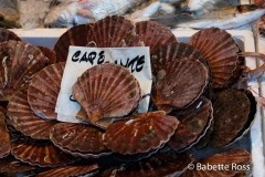 Rialto Market, Shellfish