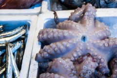 Rialto Market, Octopus