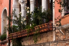 Window Box