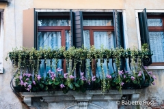 Venetian Window