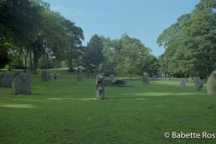 Swansea Singleton Park