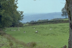 Road to Carreg Cennen Castle