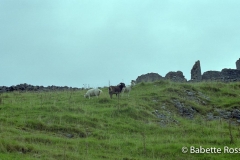 Road to Carreg Cennen Castle