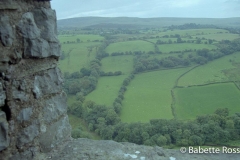 Carreg Cennen Castle