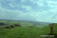Carreg Cennen Castle