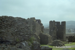 Caerphilly Castle