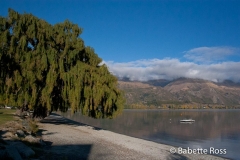 Wanaka