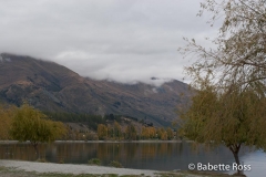 Wanaka