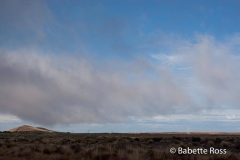 between Taupo & Wellington
