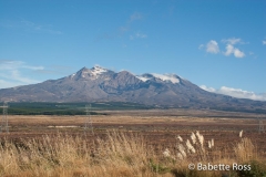 between Taupo & Wellington