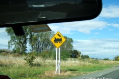 Train Sign between Taupo & Wellington