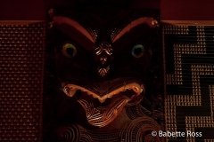 Te Papa Museum