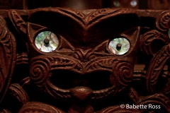 Te Papa Museum