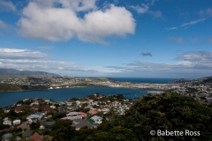 Mt. Victoria