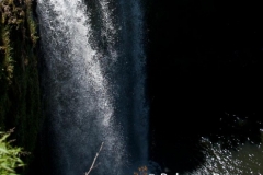 Whangarei Falls