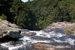 Whangarei Falls