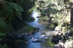 Whangarei Falls