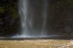 Whangarei Falls