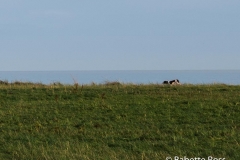 Ashford 2013-12-25