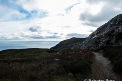 Bray to Greystones Cliff Walk 2018-11-07