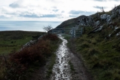 Bray to Greystones Cliff Walk 2018-11-07