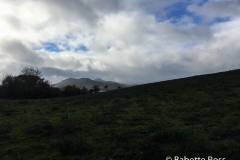 Bray to Greystones Cliff Walk 2018-11-07