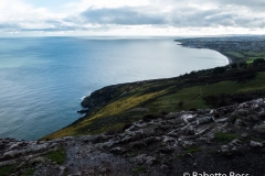 Bray to Greystones Cliff Walk 2018-11-07