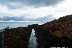 Bray to Greystones Cliff Walk 2018-11-07