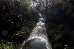 Bray to Greystones Cliff Walk 2018-11-07