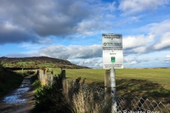 Bray to Greystones Cliff Walk 2018-11-07