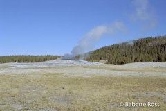 Old Faithful,