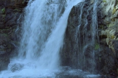 Crawfish Creek
