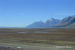 Muddy Flats